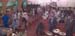 crowd 5